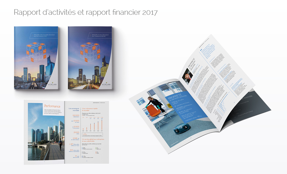 Rapport d'activités et rapport financier 2017